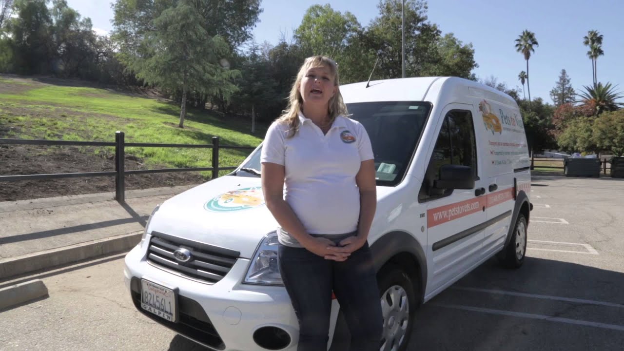 Pets to Vets / Pet Taxi - Crazy Vans