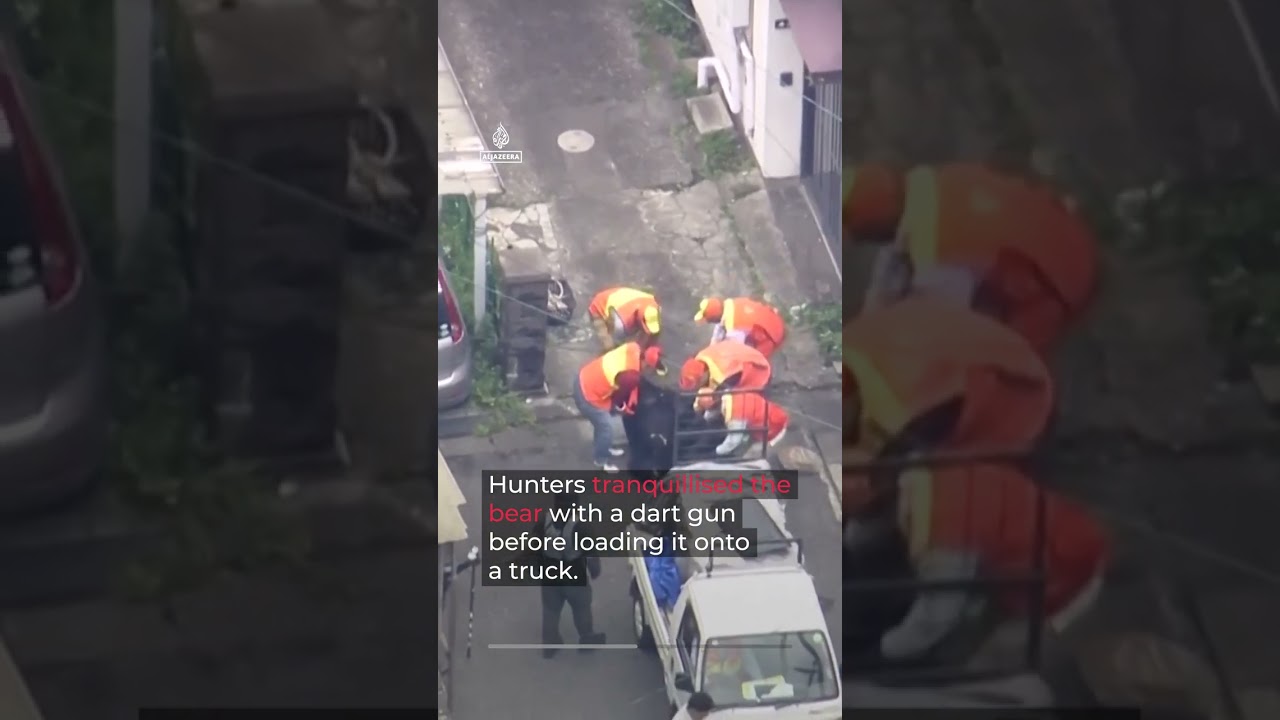 Bear captured after days of panic and school closures in Japan | AJ #shorts