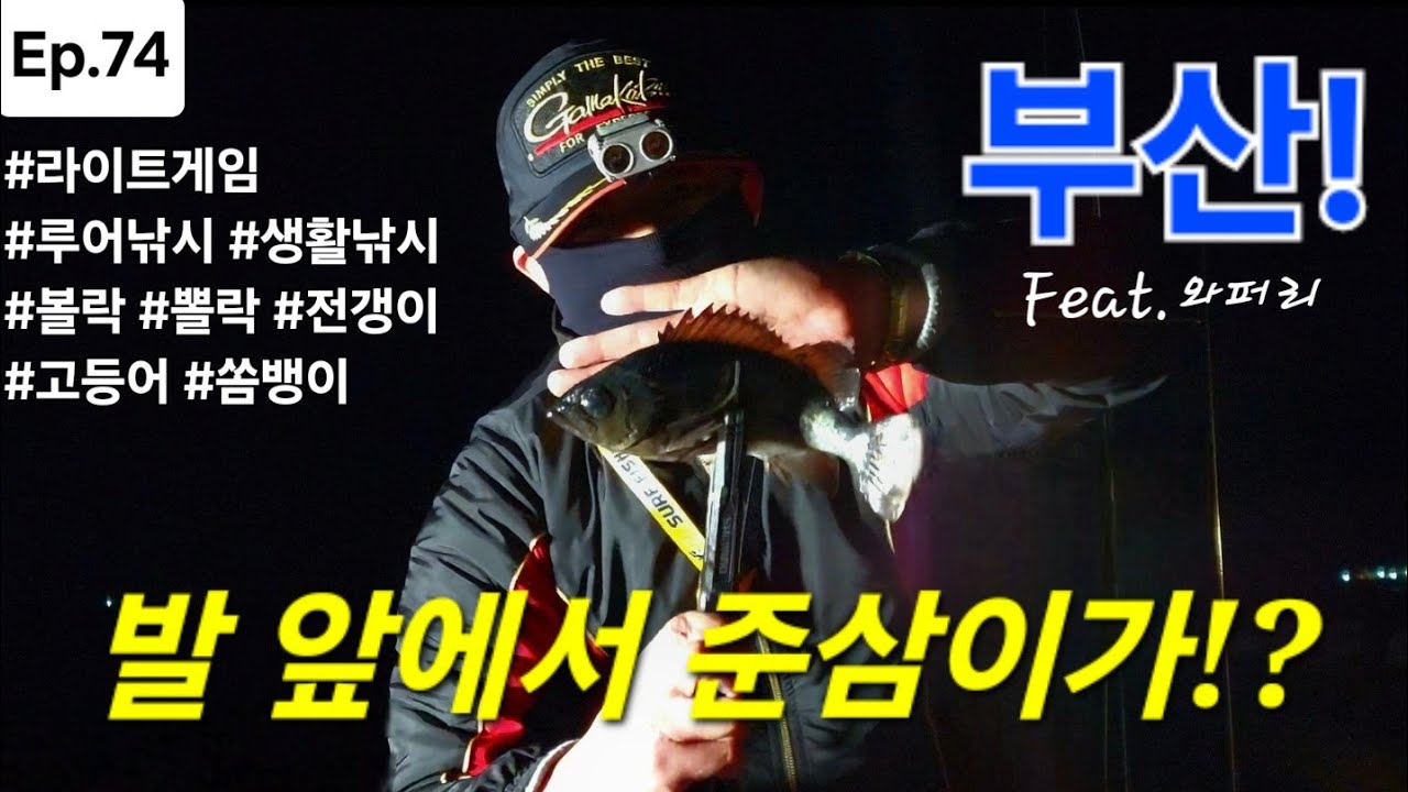 부산 전갱이 볼락낚시 1등 포인트에서 던질찌낚시를 하면!? 뽈락낚시 영도낚시 감지해변낚시 #루어낚시 #볼락낚시 #아징낚시