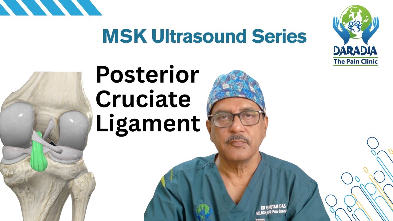 Posterior Cruciate Ligament (PCL) Ultrasound | 3D Anatomy, Probe Positioning & Sonoanatomy