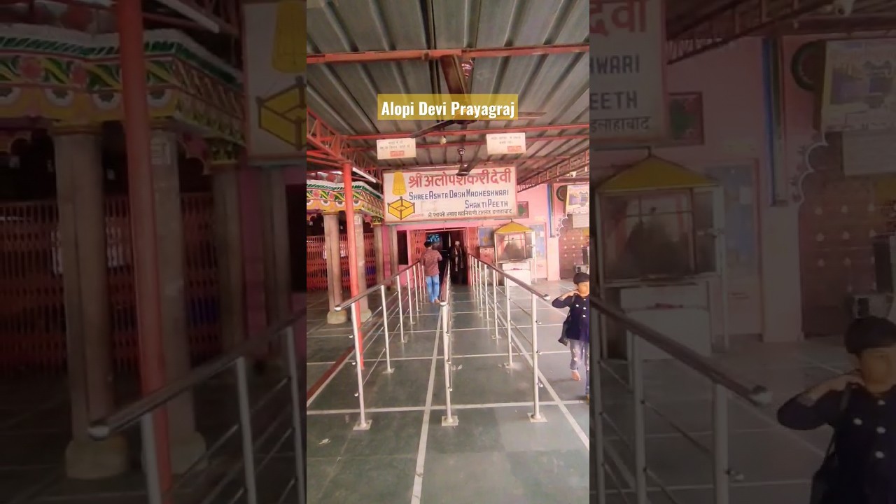Alopi Devi Prayagraj #shortsvideo #shorts #youtubeshorts #viral #trending #travel #god #temple