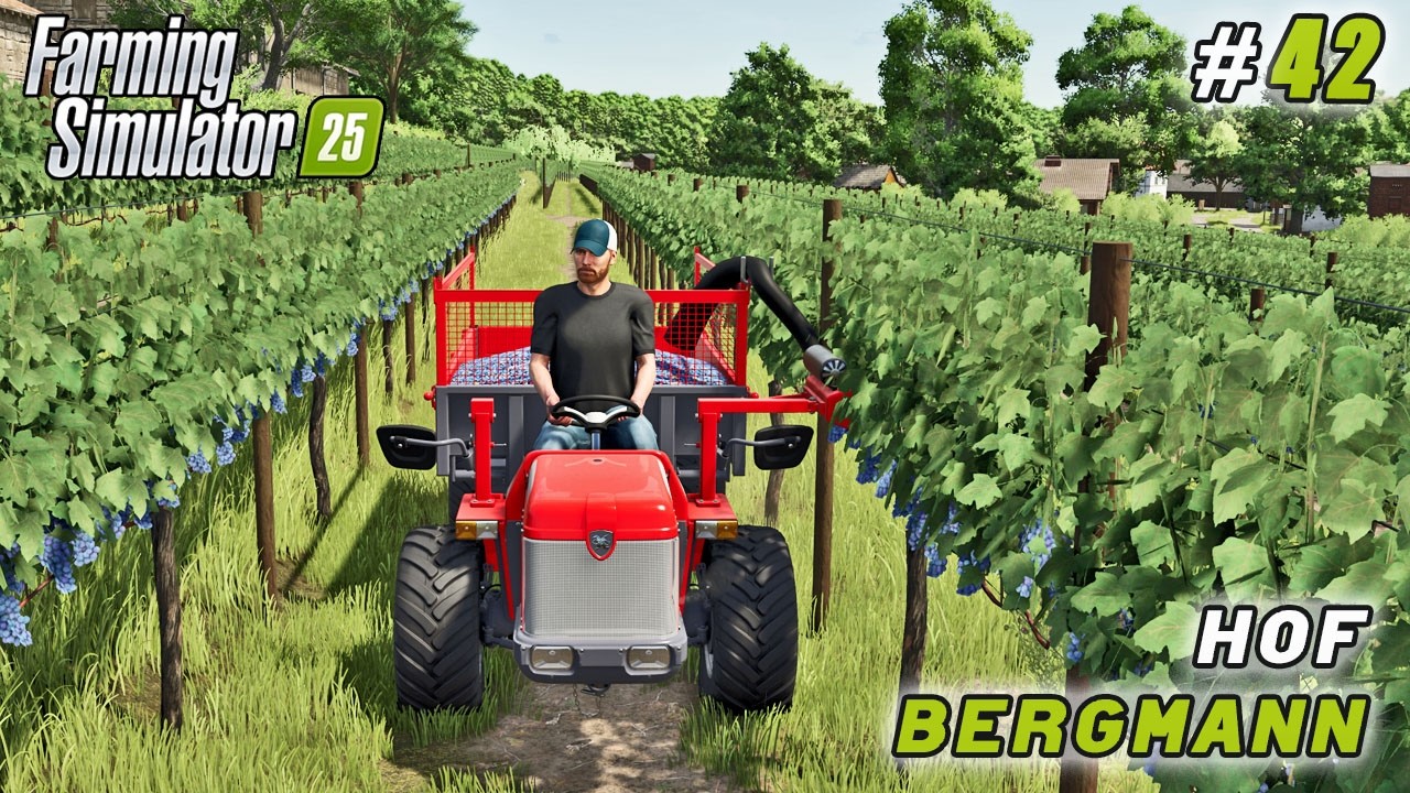 New Truck, New Vineyard, and Our First Grape Harvest | Farming simulator 25 | Hof Bergmann | ep #42