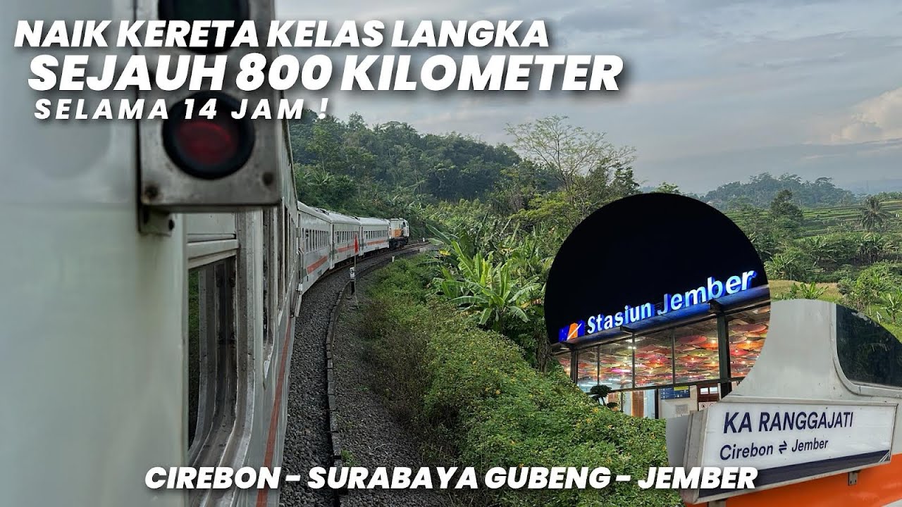 NAIK KERETA LANGKA SELAMA 14 JAM SEJAUH 800 KILOMETER‼️Trip KA Ranggajati Bisnis Cirebon - Jember