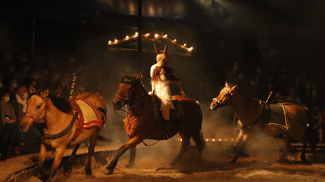 Avant la Nuit d'après. Un spectacle de la Cie EquiNote