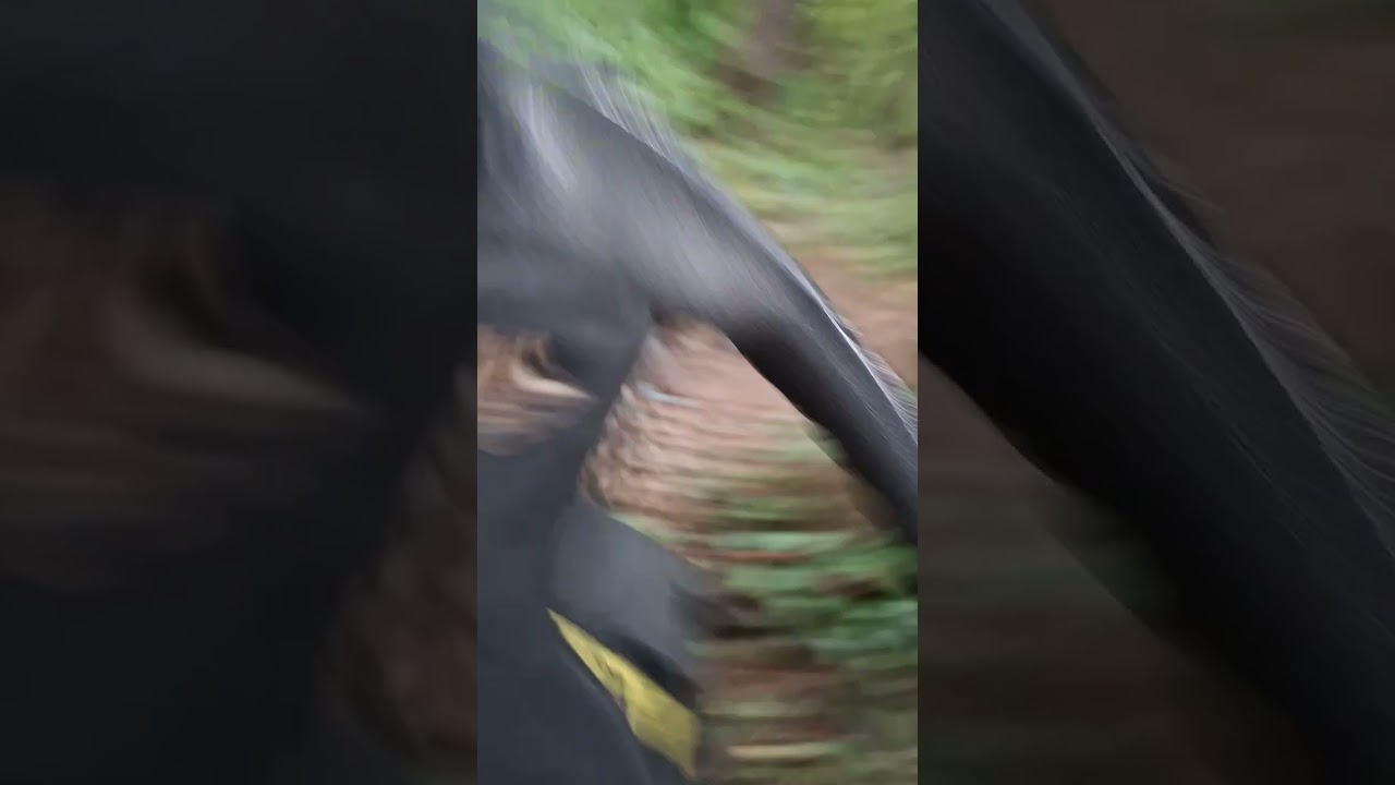 Mower in the woods