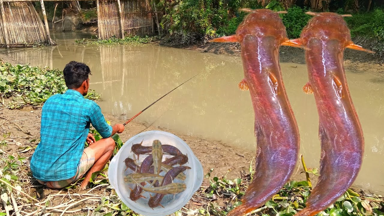 Unique Fishing Video | Fishing with hook | New traditional fish catching in village