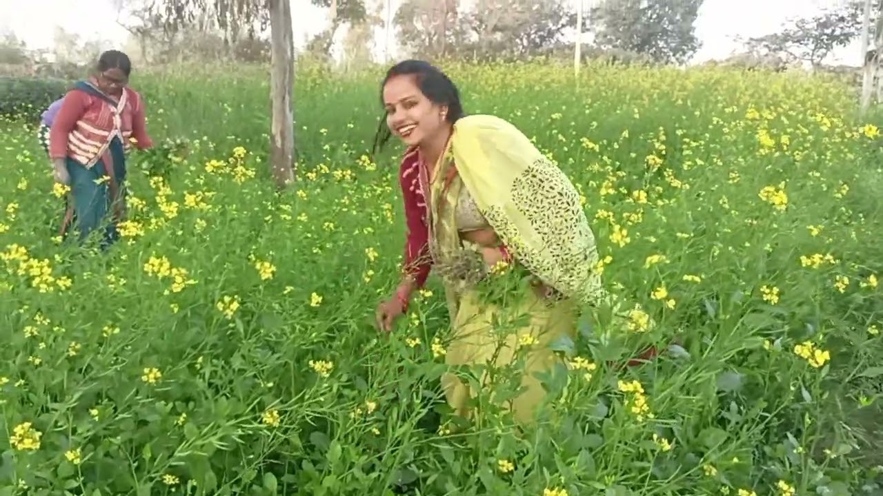फ्री में बस एक चीज मिलतीहै सबको मिलती है