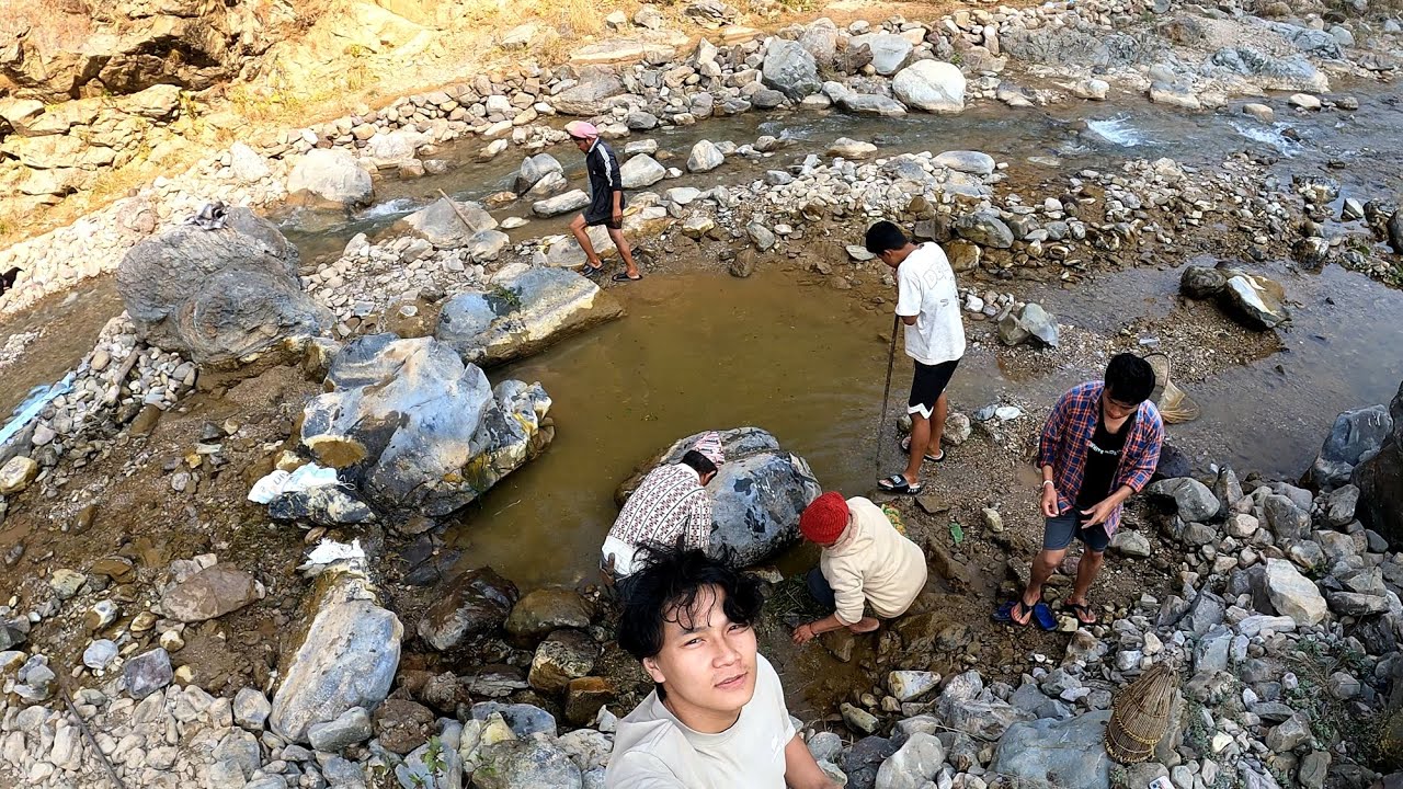 Fish hunting 🐬🦈🐋