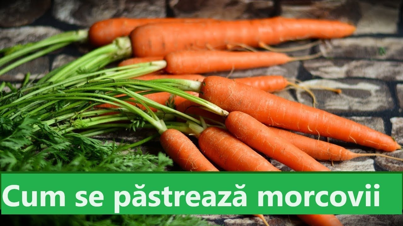 Cum se păstrează morcovii iarna. Câteva sfaturi utile🥕🥕🥕