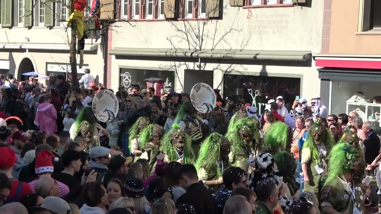 Moskito Würger Diepflingen - Sissacher Fasnacht 09.03.2025