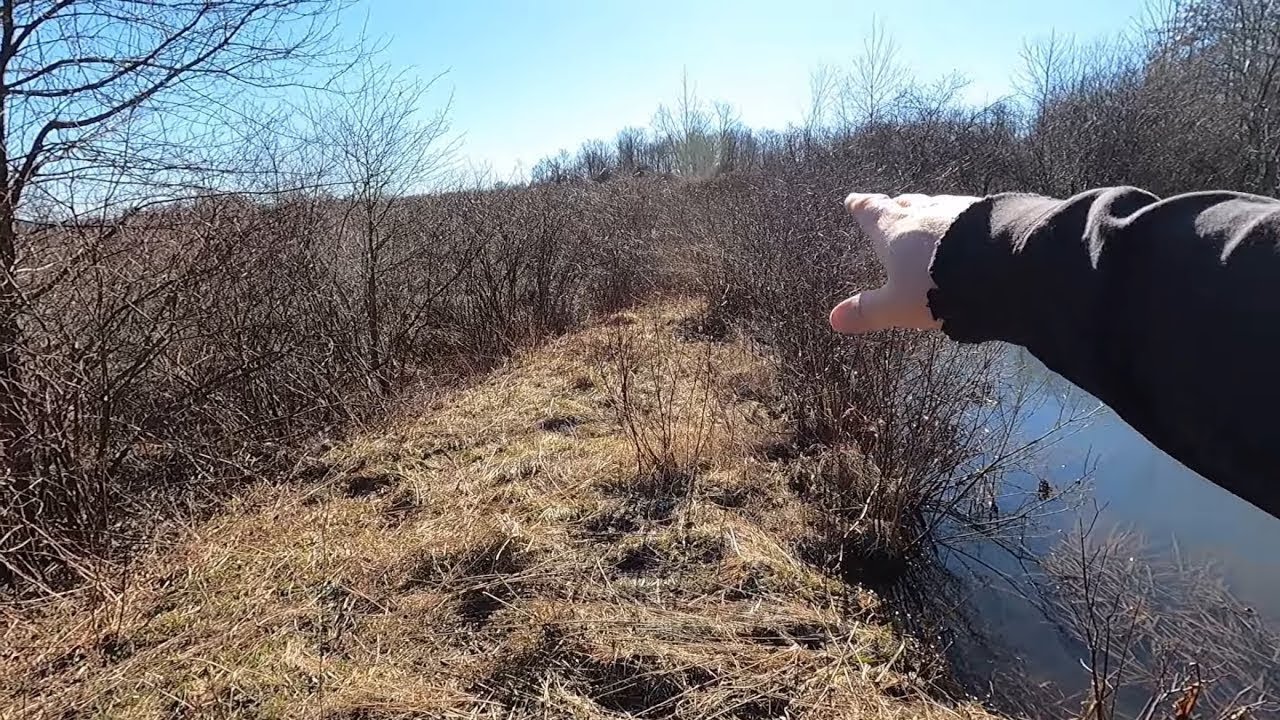 Старый заброшенный пруд вот-вот полностью размоется. Очередные проблемы с плотиной.