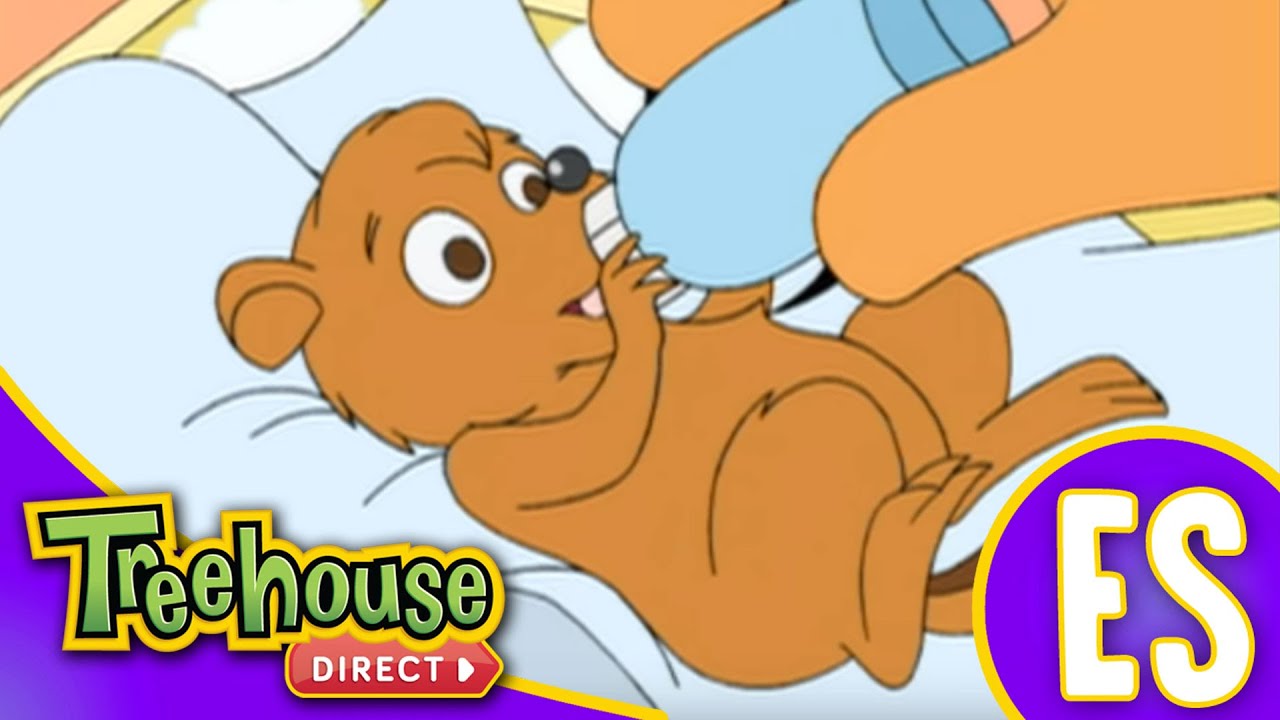 The Berenstain Bears | Sentirse Agradecido