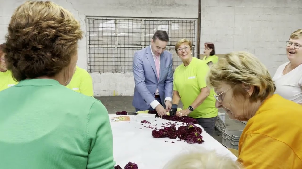 Vredesduif als reuzemozaïek Give a Chance Dahlia mozaïeken Bollenstreek