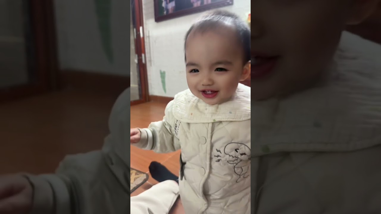 小元宝会走了❤️