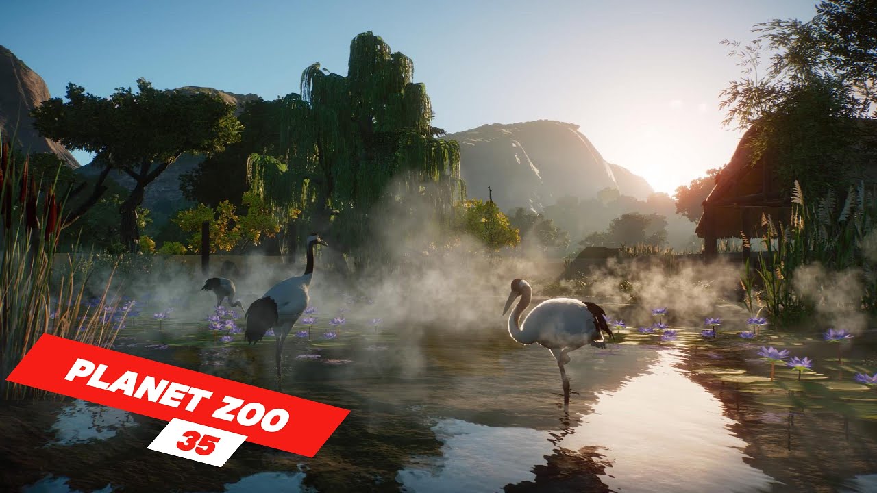 A new day on our Antarctica theme in the zoo | ep 35 | Planet Zoo | ZwollywoodZz