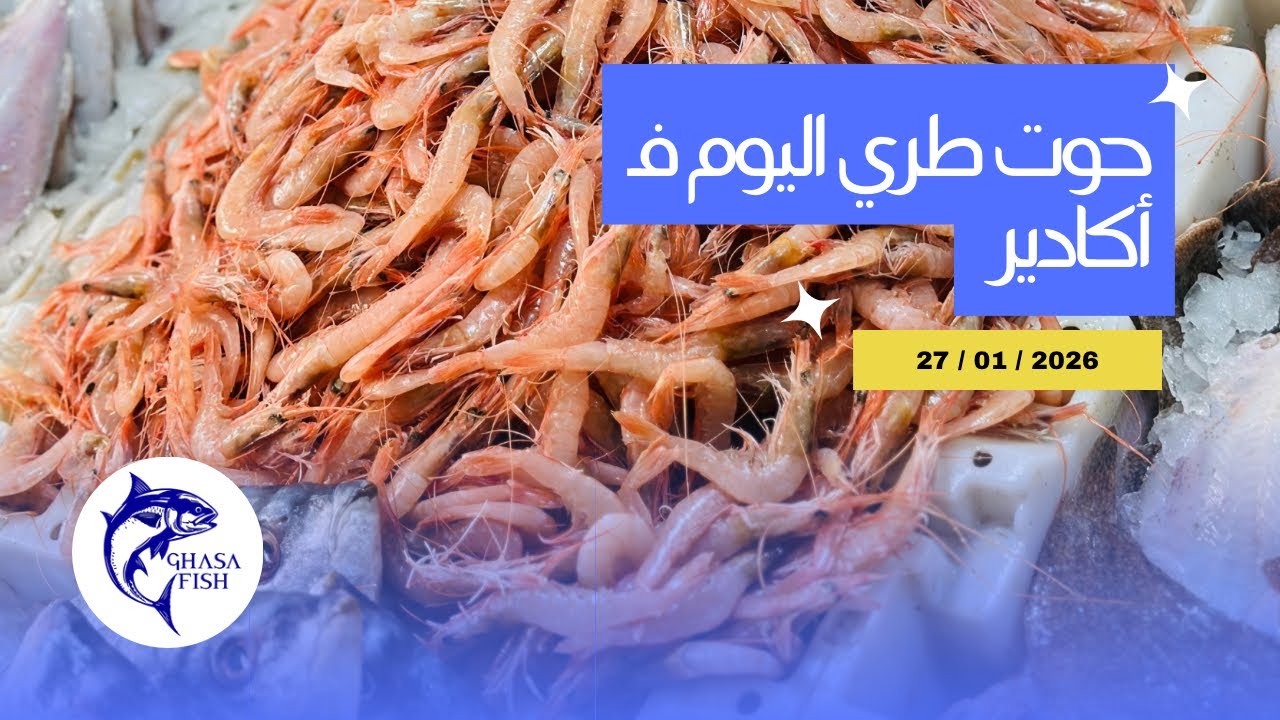 أثمنة السمك 🦐 اليوم الثلاثاء 27 يناير 2026 