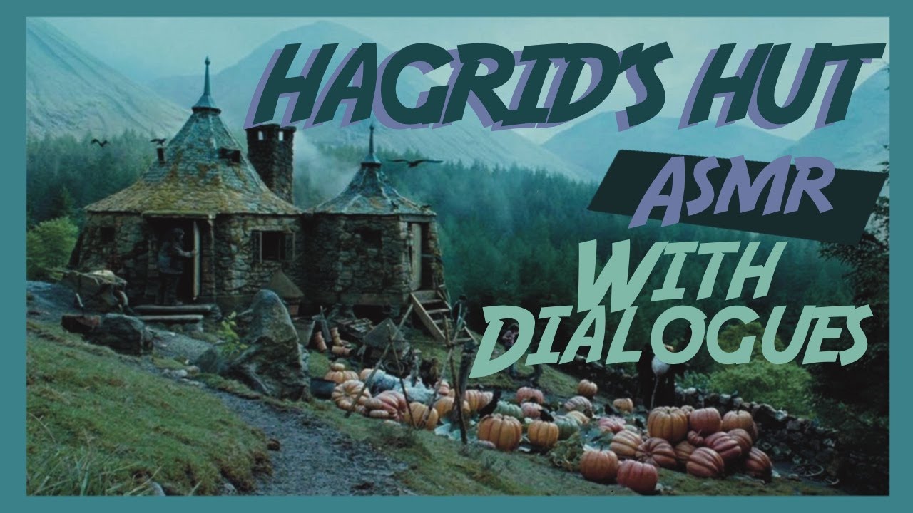WIth Dialogues - Hagrid's Hut Ambiance | Harry Potter ASMR 1 hour long