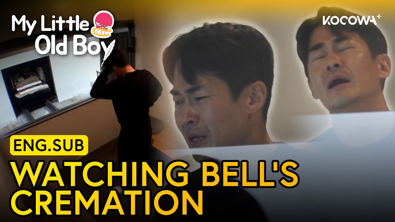 Bae Jeong Nam Breaks Down Watching His Dog’s Cremation 💔🐾 | My Little Old Boy EP465 | KOCOWA+