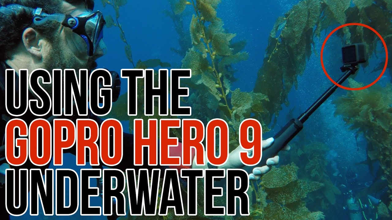 Using the Hero 9 Underwater
