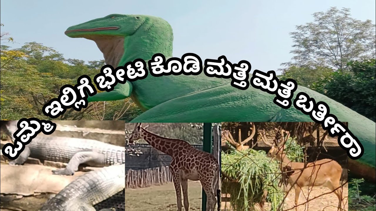 ಒಮ್ಮೆ ಬಂದು ನೋಡಿ ಮತ್ತೆ ಮತ್ತೆ ಬರ್ತೀರಾ 🥰#zoo #animals #biggestzoo #tiger  #lion  #leopard 