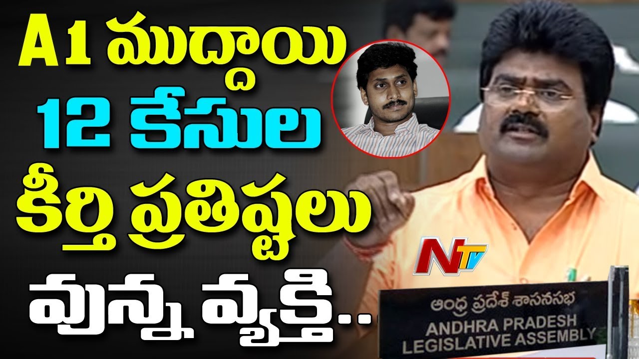 TDP MLA Kuna Ravi Kumar Comments on YS Jagan and BJP || Speech in AP Assembly || NTV