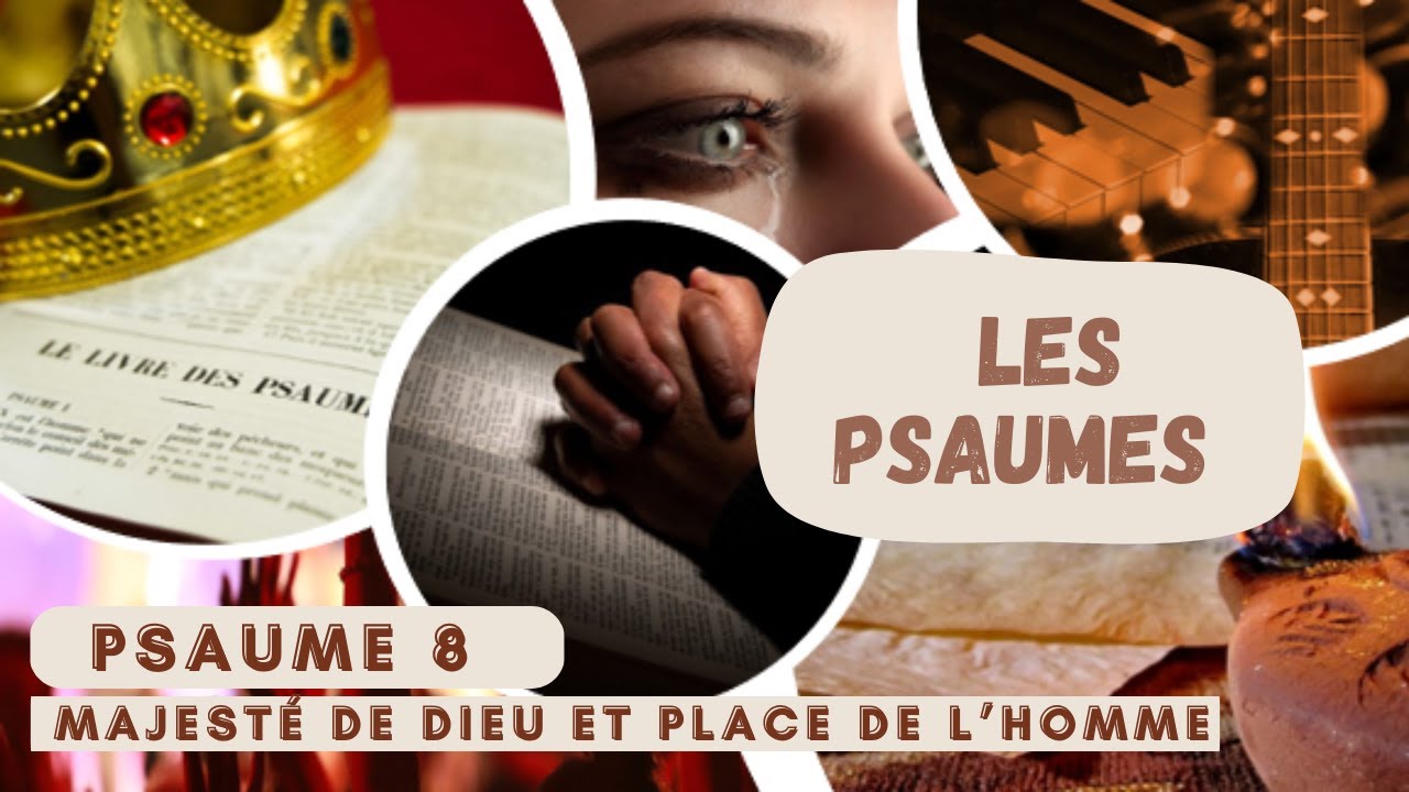 Psaume 8: majesté de Dieu et place de l'homme