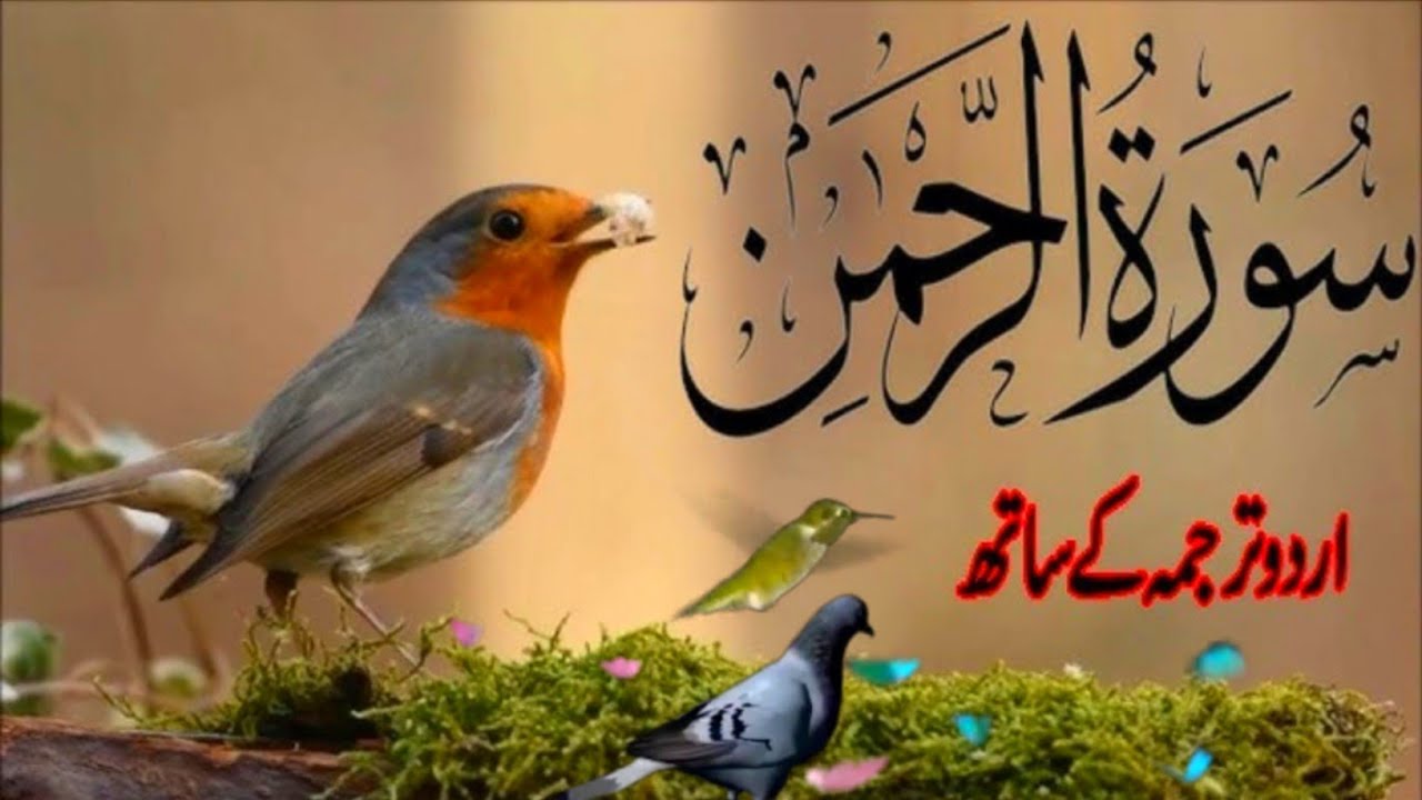 SURAH RAHMAN TARJUMA K SATH | BY QARI Al SHAIKH MUHAMMAD | EP 00720 | QURAN TILAWAT BEAUTIFUL VOICE