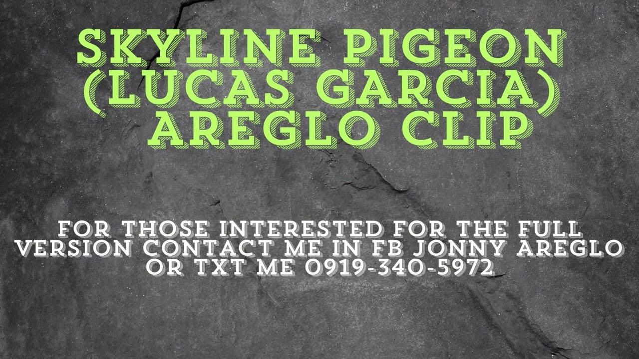 SKYLINE PIGEON (LUCAS GARCIA) AREGLO CLIP