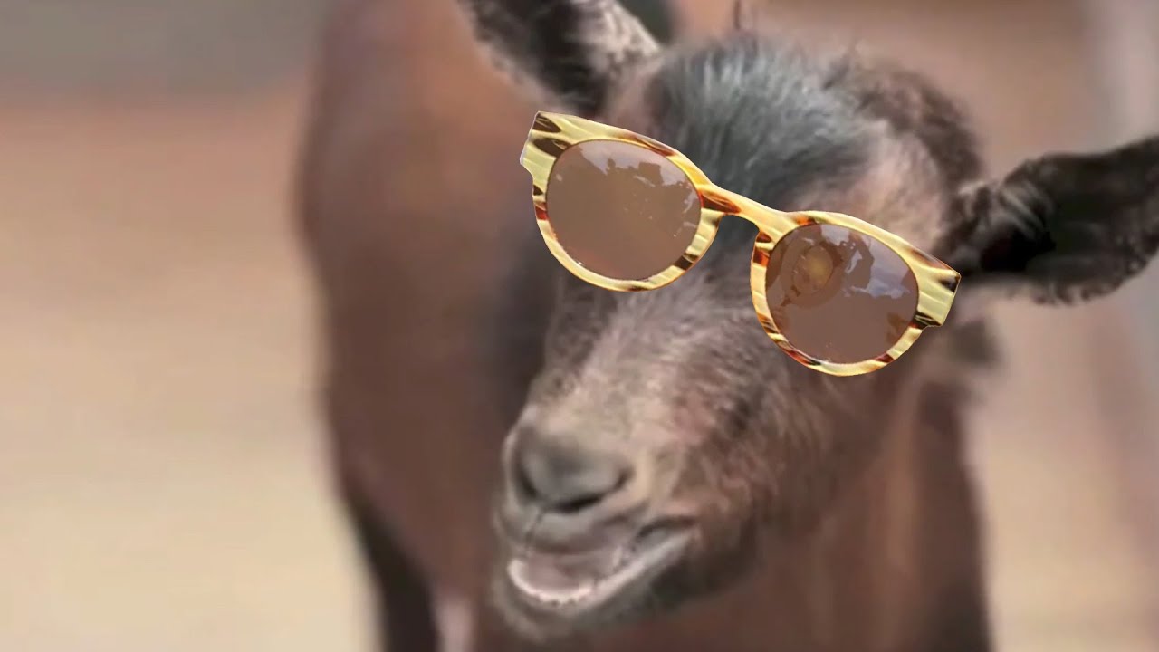PSY - GENTLEMAN (Goat Remix)