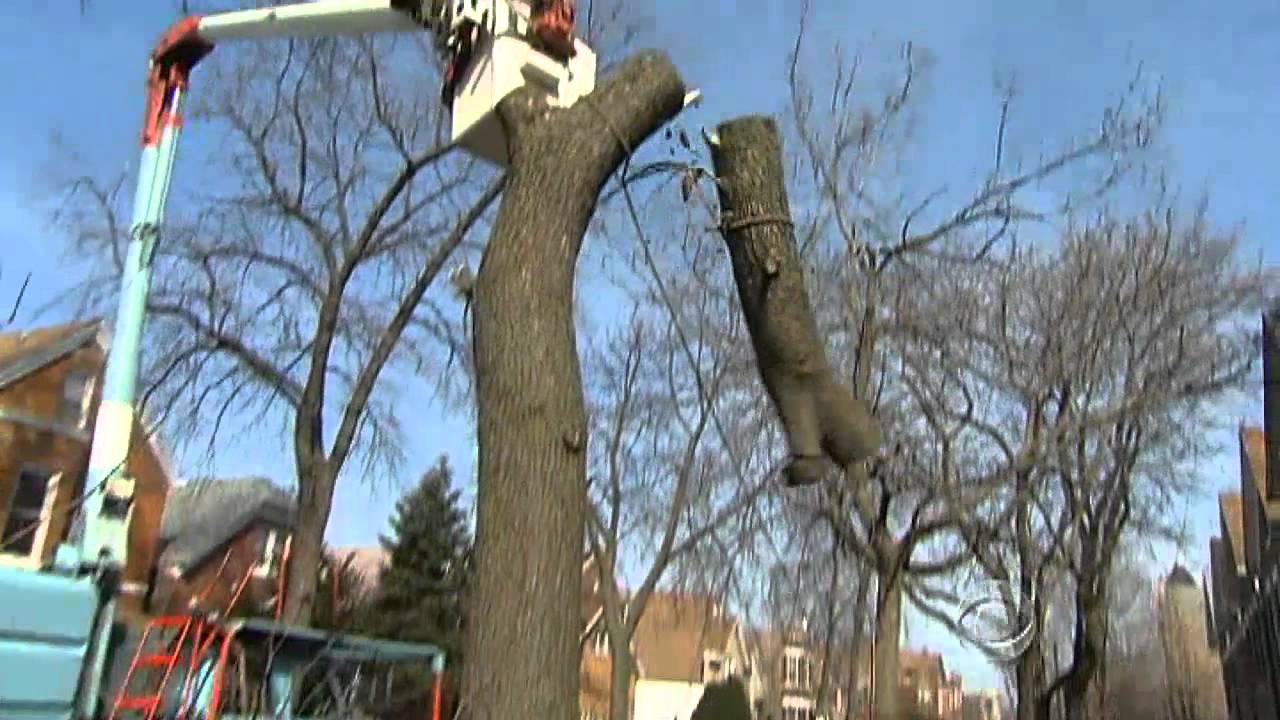 Mild winter saves cities big money