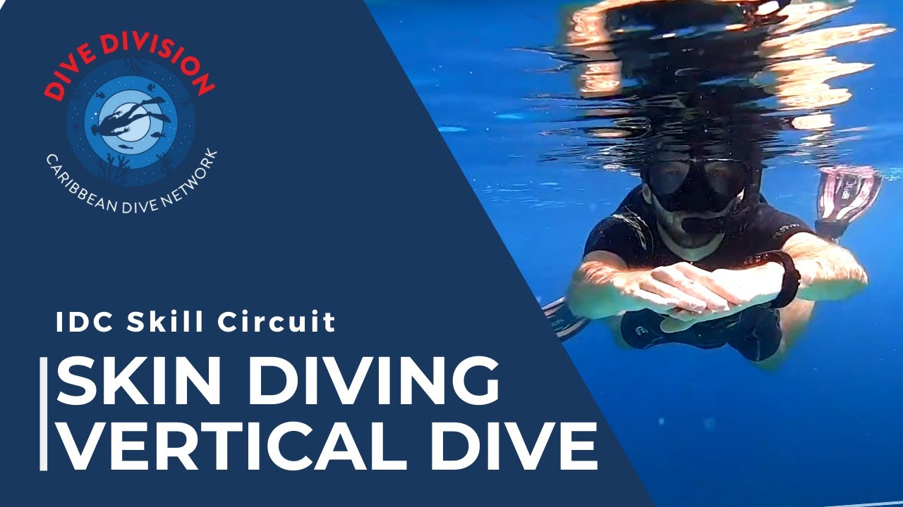 PADI IDC Skill Circuit: Skin Diving Vertical Dive - Head 1st (Revised Instructor Development Course)
