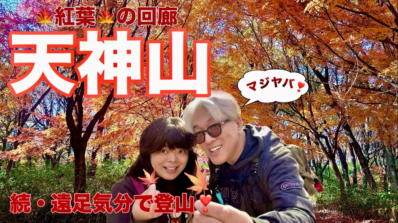 続・遠足気分で登山　019　天神山