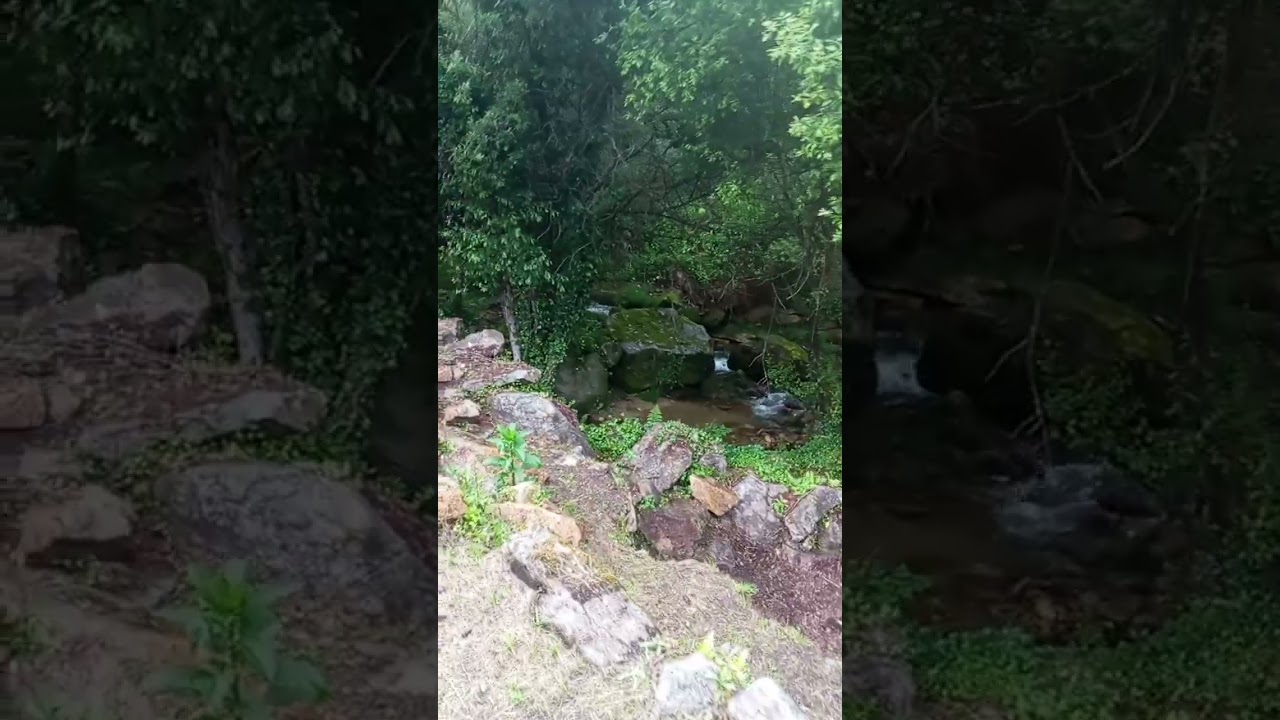 #soajo