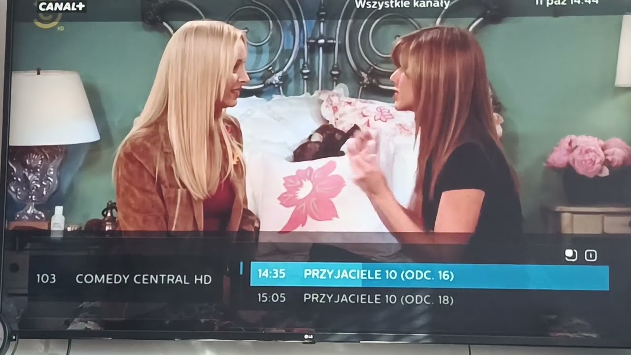 zapping polskich kanałów nc+