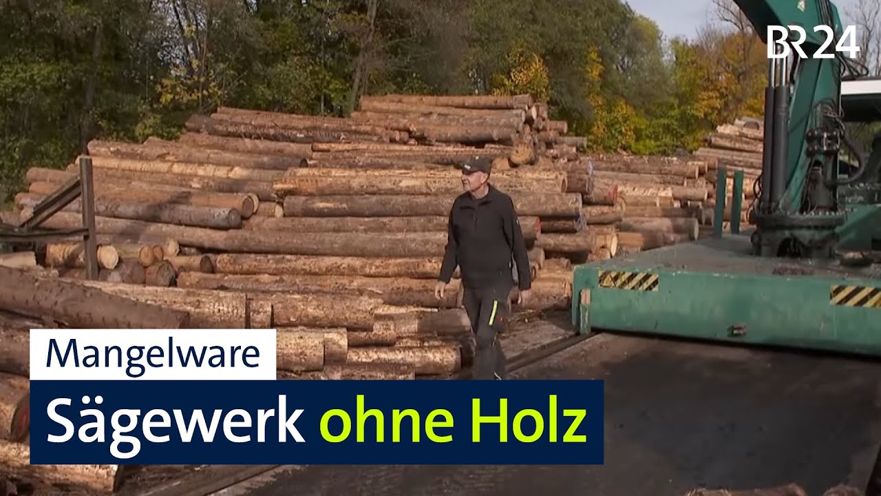 Rohstoffmangel: S&auml;gewerke ohne Holz | BR24