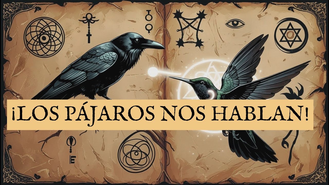 El Lenguaje Secreto de los Pájaros: el código espiritual que los sabios han usado por siglos