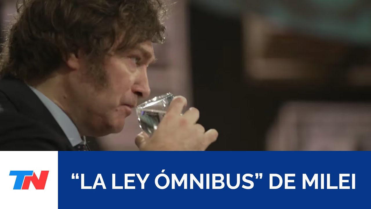 MILEI PRESIDENTE I &iquest;Qu&eacute; es la 