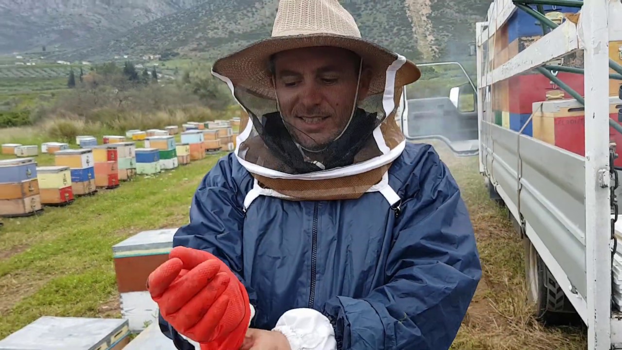 Τρεις μέρες εργασίας σε ένα βίντεο. Παραφυάδες, σμηνουργια, χειρισμοι. Απρίλιος 2019