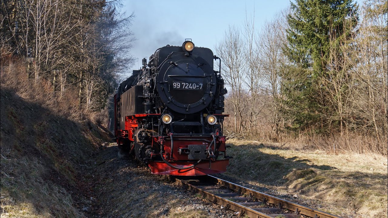 Harz im März / mit Fahrt im Dampflok Zug
