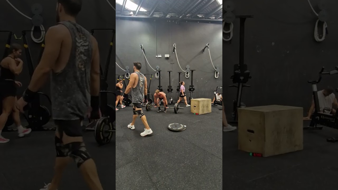 26.3
