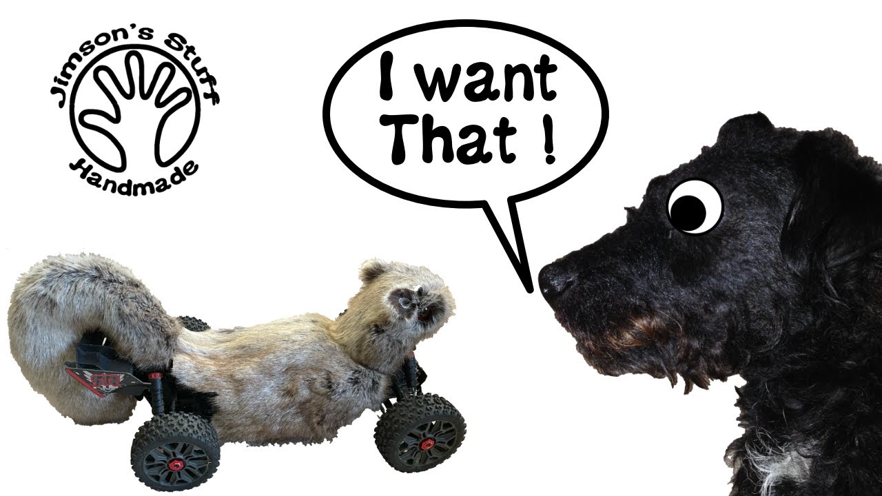 Building a 40mph RC Squirrel - extreme dog chase toy