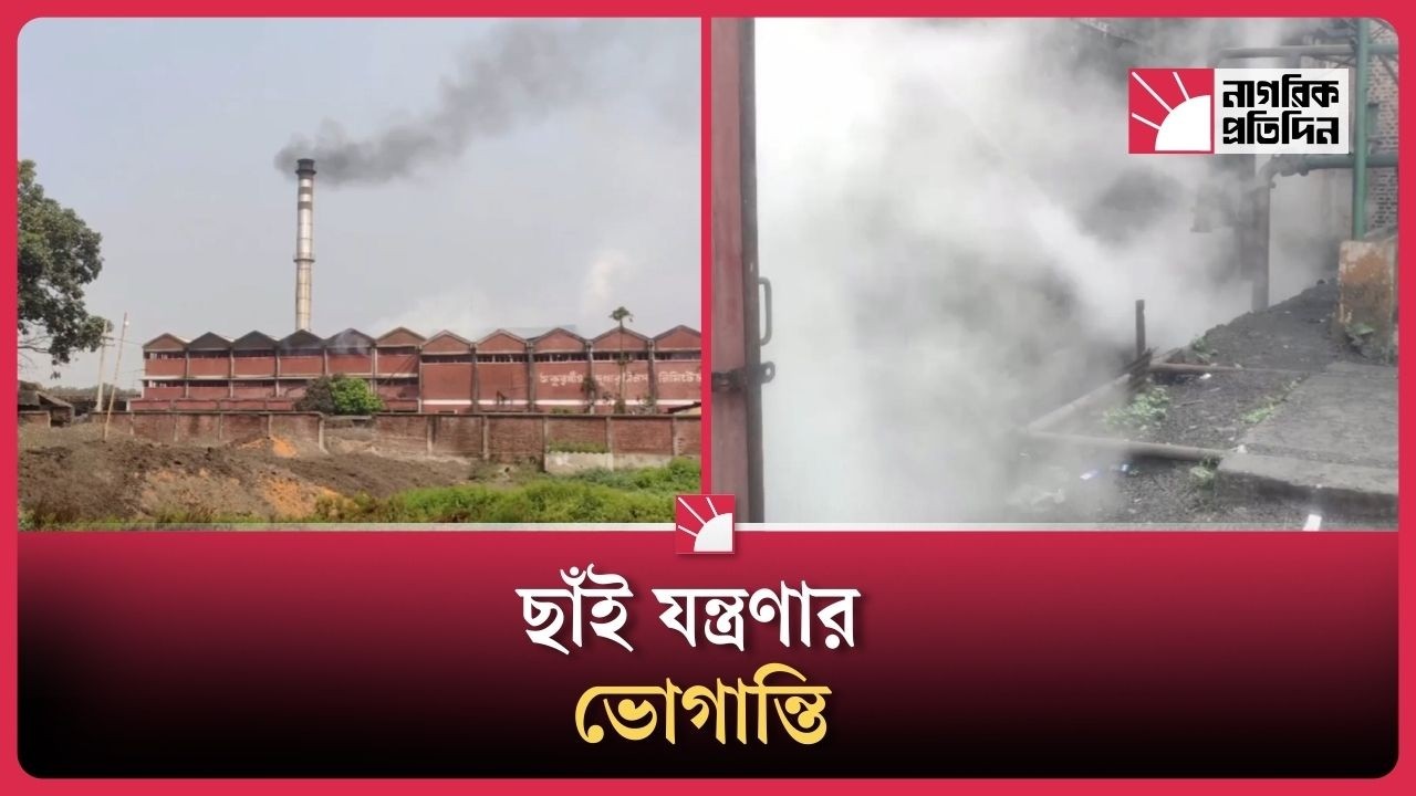 ৫৫ বছরের ছাঁই যন্ত্রণার ভোগান্তিতে স্থানীয়রা | Thakurgaon Sugar Mills | Nagorik Protidin Digital