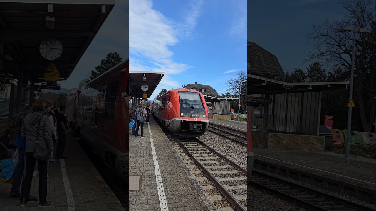 RB3️⃣0️⃣Ankunft in Rheinfelden(Baden)🇩🇪#deutschebahn #dbregio #travel #train #zug #shorts #yt