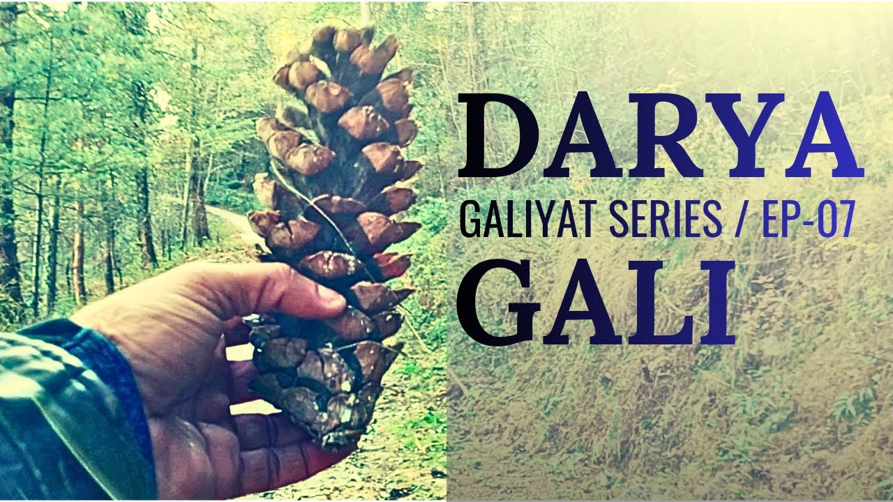 Darya Gali | Episode-07 | My Journey to GALIYAT, Pakistan | Galiyat Series Hidden Villages |