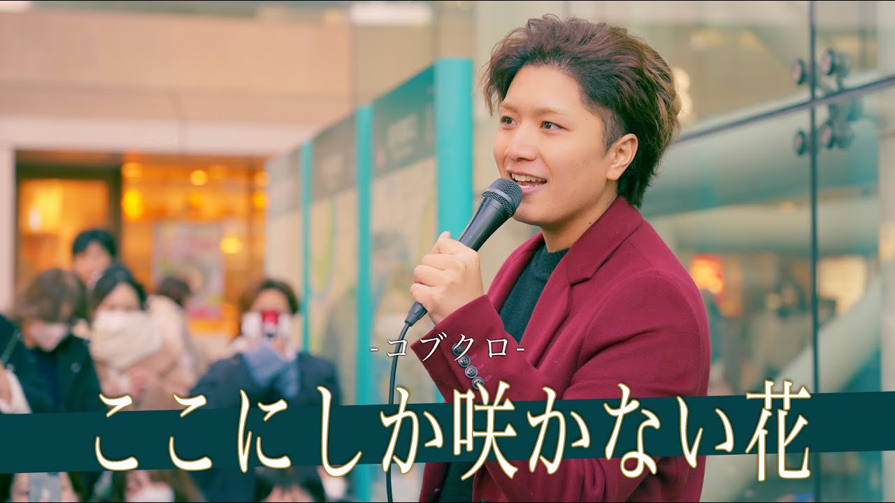 【歌詞付】イケメンすぎる路上の国宝シンガー ここにしか咲かない花 / コブクロ【川崎路上ライブ-24.12.22】by 髙橋一輝
