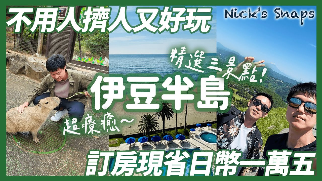 不用人擠人！遠眺富士山🗻關東近郊伊豆半島渡假 精選三景點！大室山 仙人掌動物園 城崎海岸｜誤打誤撞的海上花火大會超美｜省錢訂房新招 全客房海景還有溫泉泡 伊豆今井濱東急飯店 @johnysensei