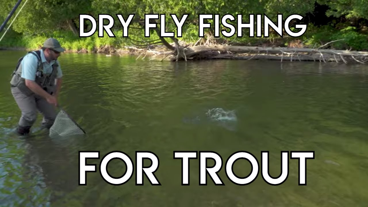 Dry Fly Fishing for Trout Tips