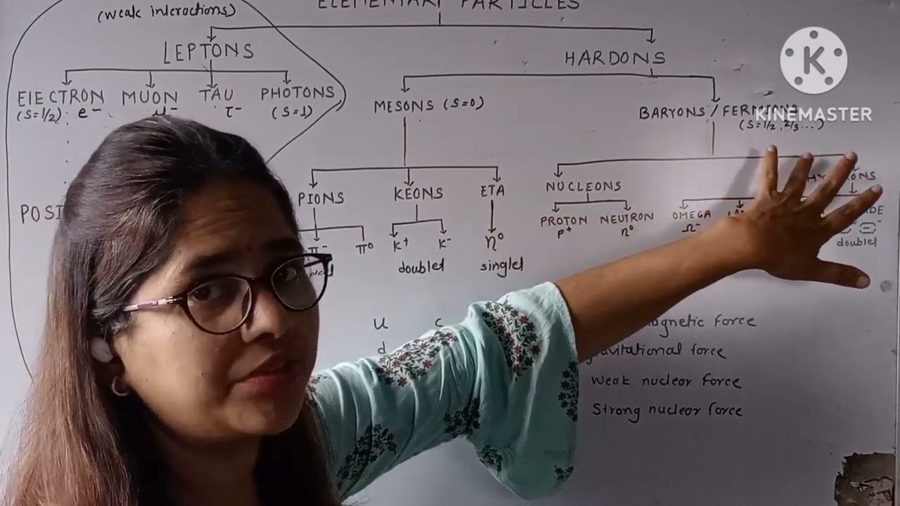 Lecturer 20 - How many particles do you know?