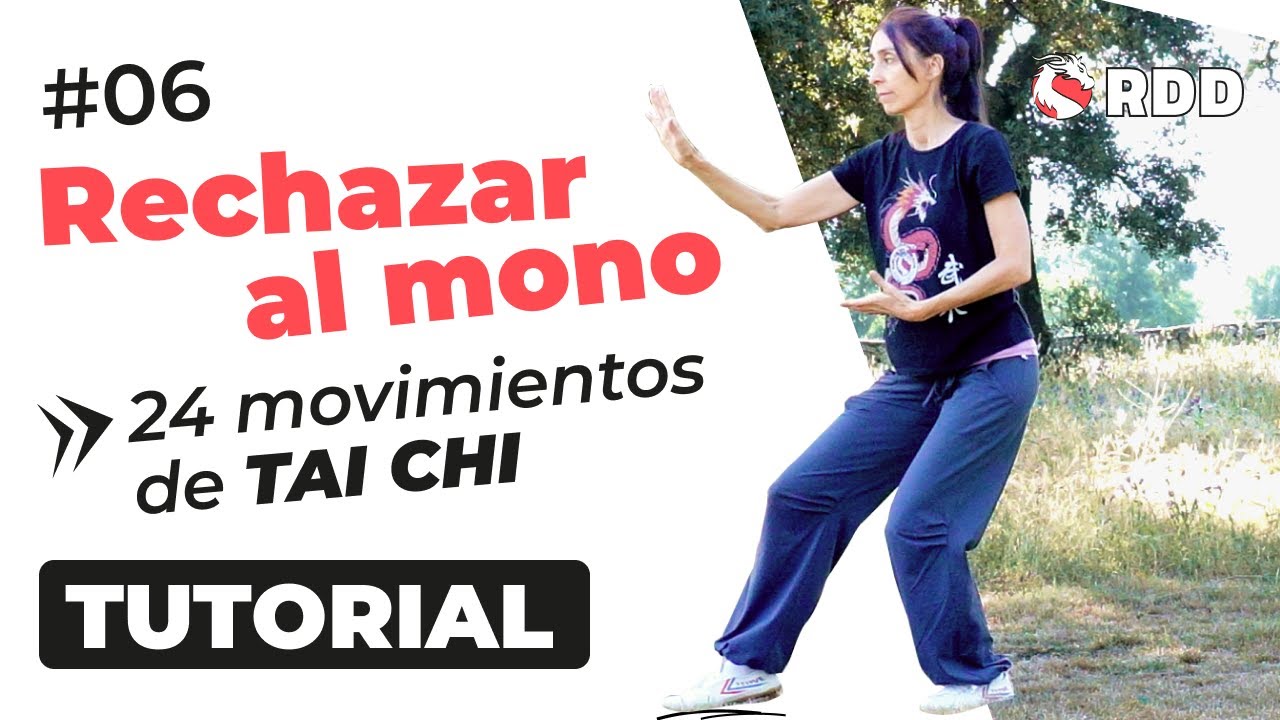 Tutorial #06: Rechazar al mono | Tai Chi 24 Movimientos PASO A PASO