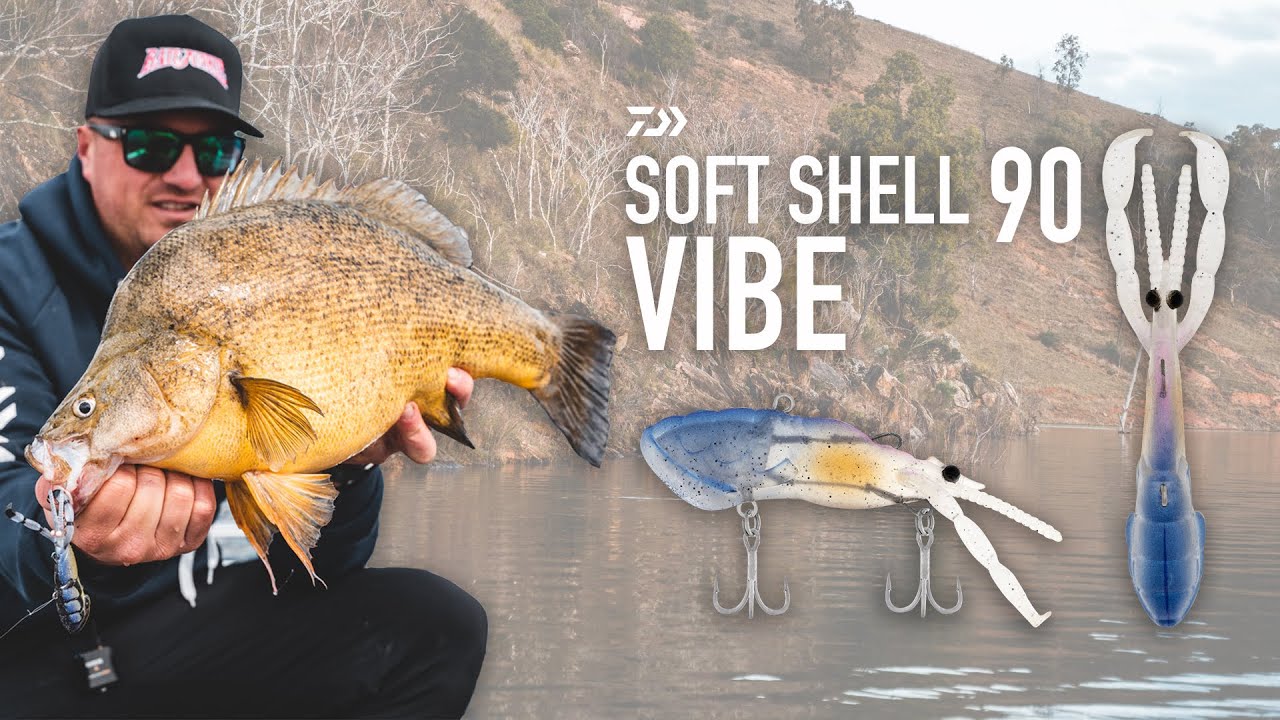 How to catch Golden Perch on soft vibes!